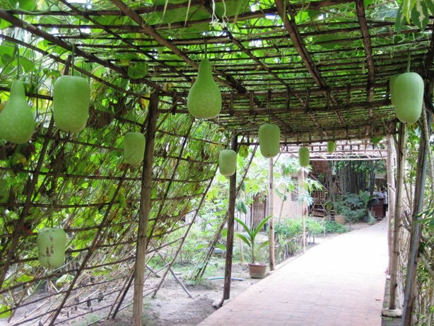 Yeu thuong mot thoang viet nam